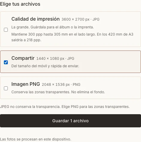 Panel real de descarga del collage de recuerdos