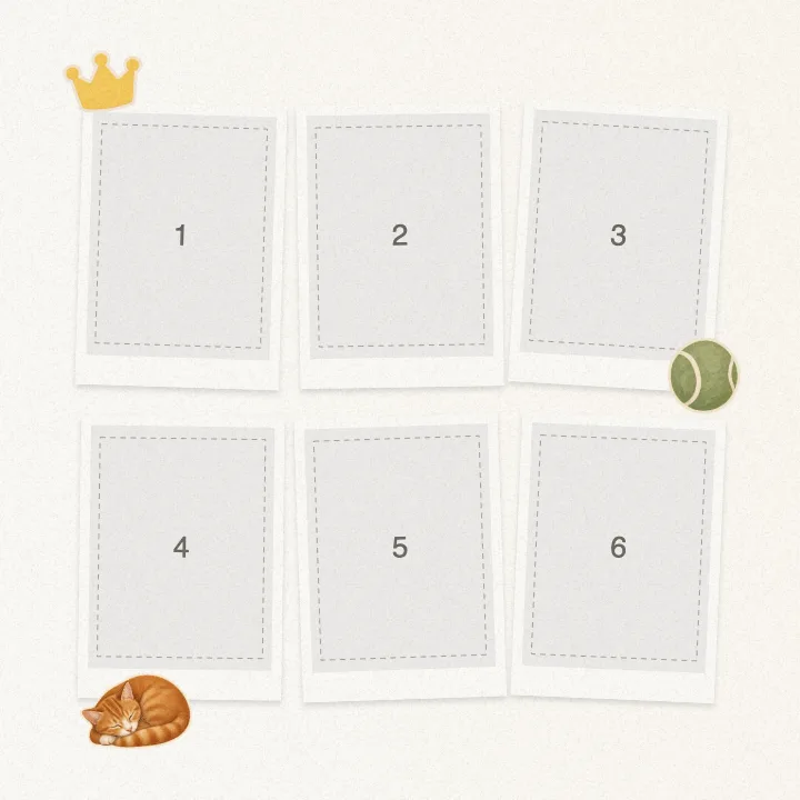 Editable collage template with numbered photo slots — Pet Photo Collage